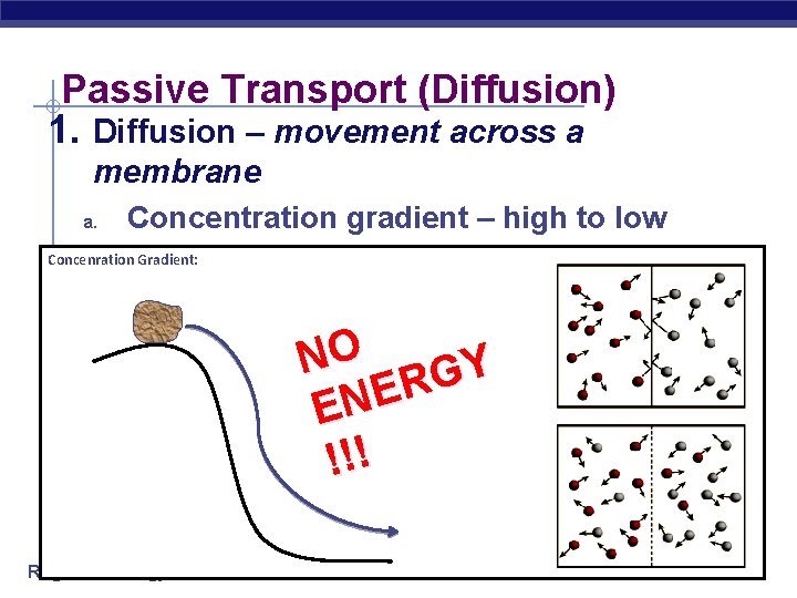 Passive Transport (Diffusion) 1. Diffusion – movement across a membrane Concentration gradient – high