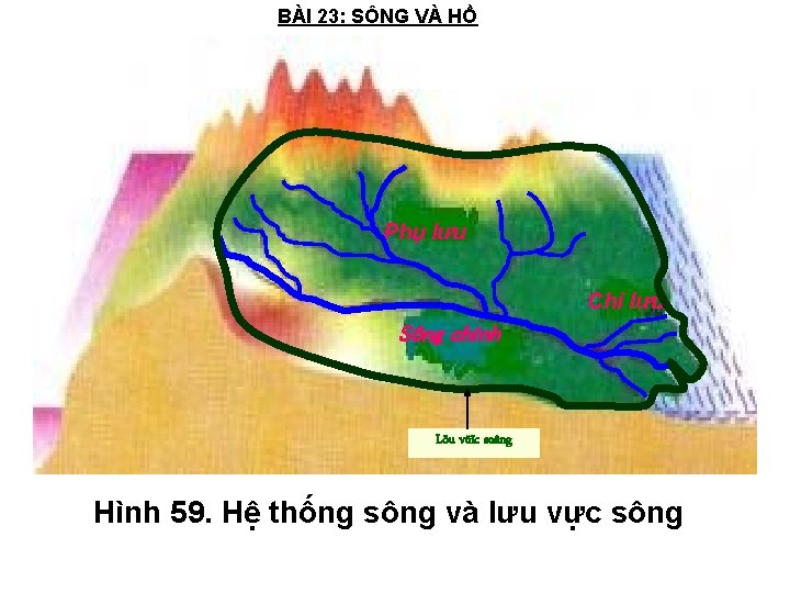 BÀI 23: SÔNG VÀ HỒ Phụ lưu Chi lưu Sông chính Löu vöïc soâng
