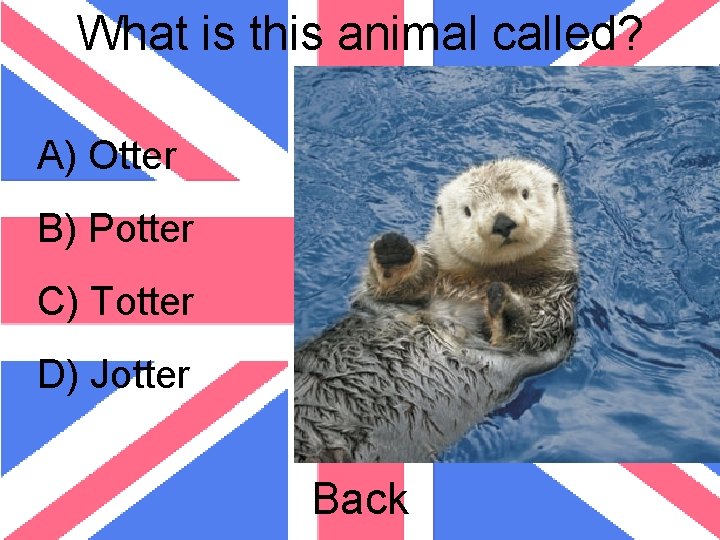 What is this animal called? A) Otter B) Potter C) Totter D) Jotter Back