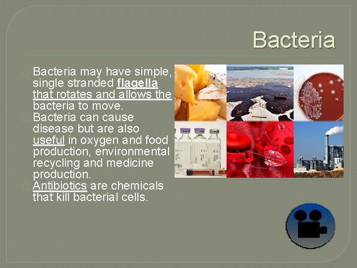 Bacteria may have simple, single stranded flagella that rotates and allows the bacteria to