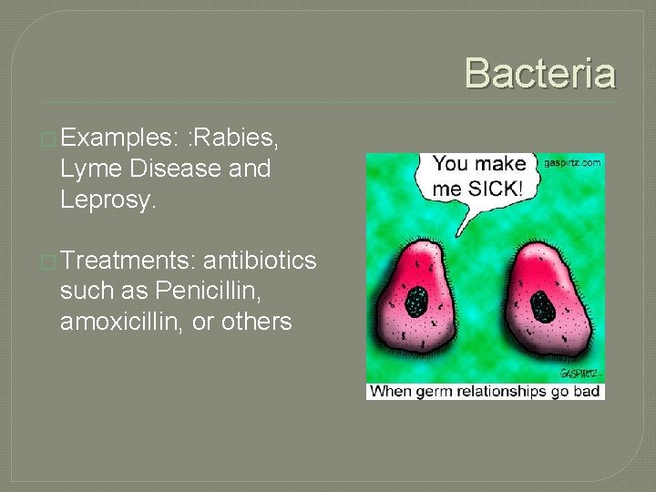 Bacteria � Examples: : Rabies, Lyme Disease and Leprosy. � Treatments: antibiotics such as