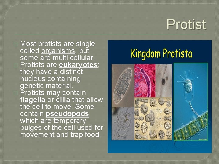 Protist Most protists are single celled organisms, but some are multi cellular. � Protists
