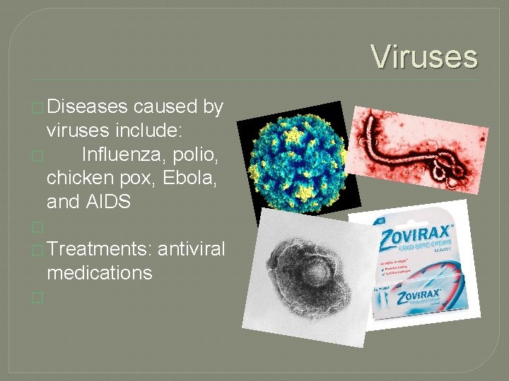 Viruses � Diseases caused by viruses include: � Influenza, polio, chicken pox, Ebola, and