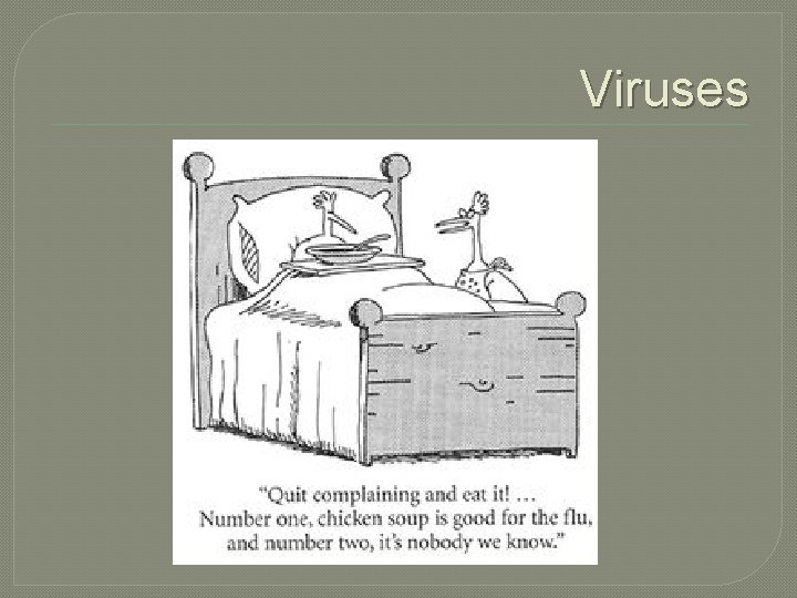 Viruses 