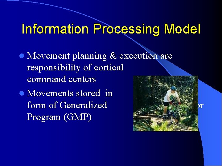 Information Processing Model l Movement planning & execution are responsibility of cortical command centers