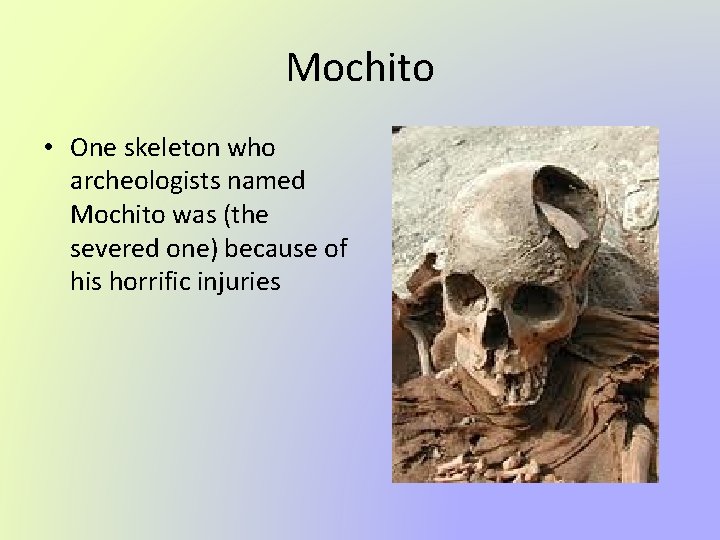 Mochito • One skeleton who archeologists named Mochito was (the severed one) because of