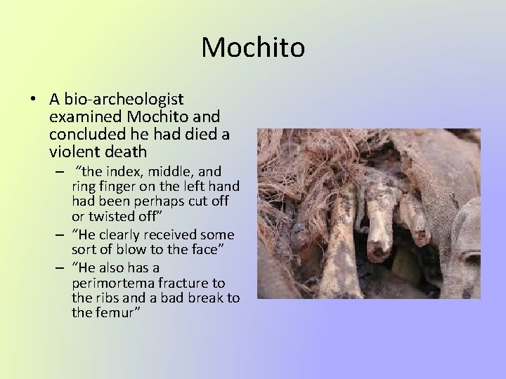 Mochito • A bio-archeologist examined Mochito and concluded he had died a violent death