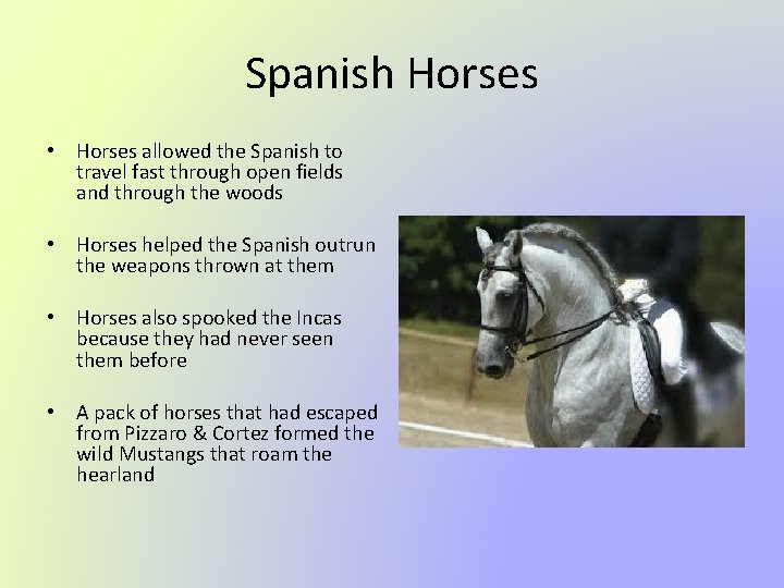 Spanish Horses • Horses allowed the Spanish to travel fast through open fields and