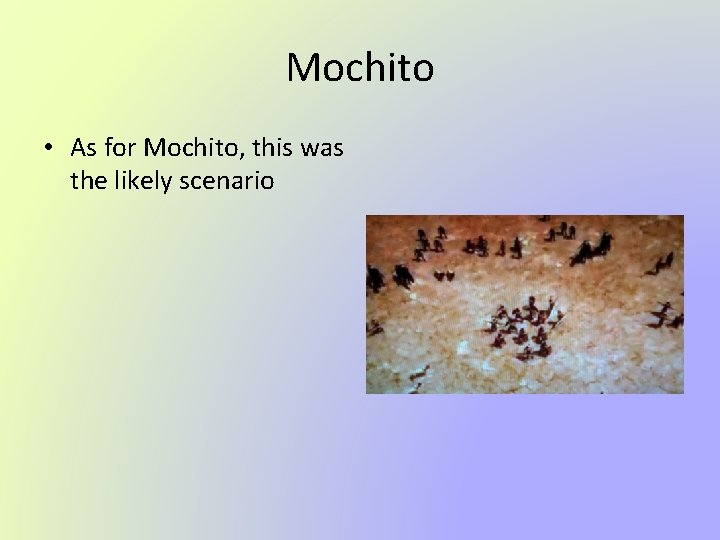 Mochito • As for Mochito, this was the likely scenario 