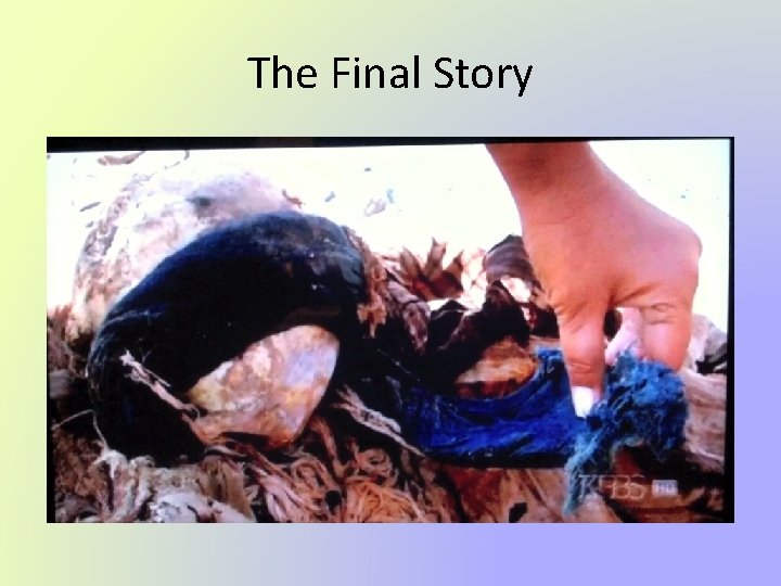 The Final Story 