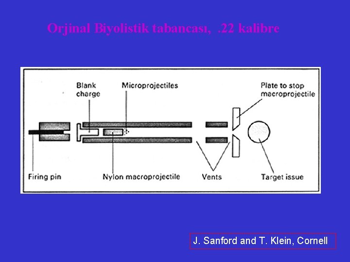 Orjinal Biyolistik tabancası, . 22 kalibre J. Sanford and T. Klein, Cornell 