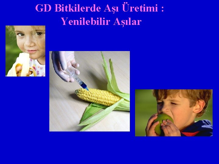 GD Bitkilerde Aşı Üretimi : Yenilebilir Aşılar 