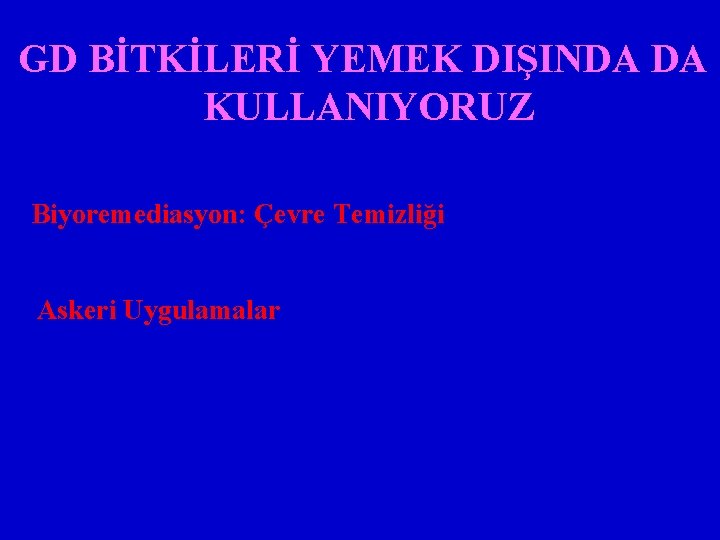 GD BİTKİLERİ YEMEK DIŞINDA DA KULLANIYORUZ Biyoremediasyon: Çevre Temizliği Askeri Uygulamalar 