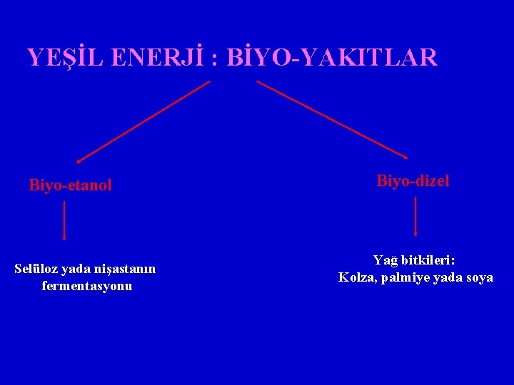 YEŞİL ENERJİ : BİYO-YAKITLAR Biyo-etanol Selüloz yada nişastanın fermentasyonu Biyo-dizel Yağ bitkileri: Kolza, palmiye