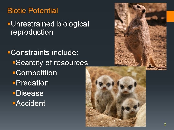Biotic Potential §Unrestrained biological reproduction §Constraints include: §Scarcity of resources §Competition §Predation §Disease §Accident