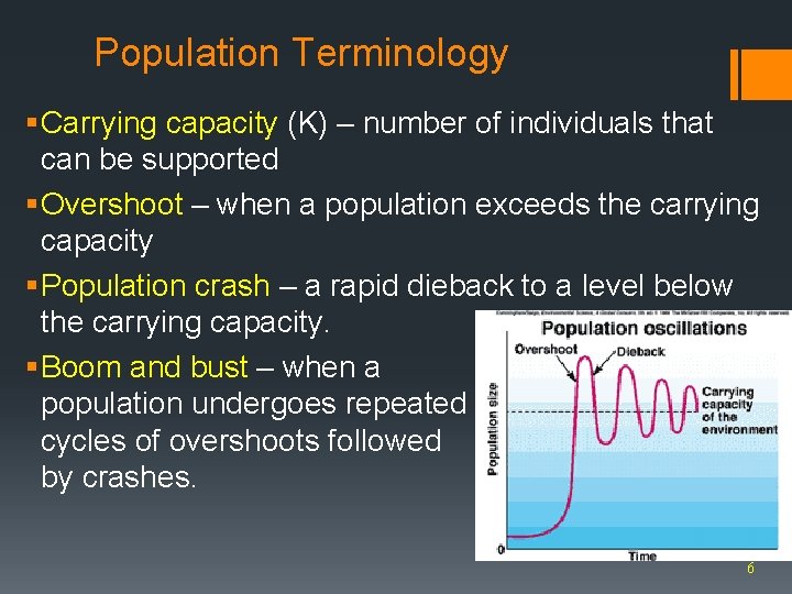 Population Terminology § Carrying capacity (K) – number of individuals that can be supported