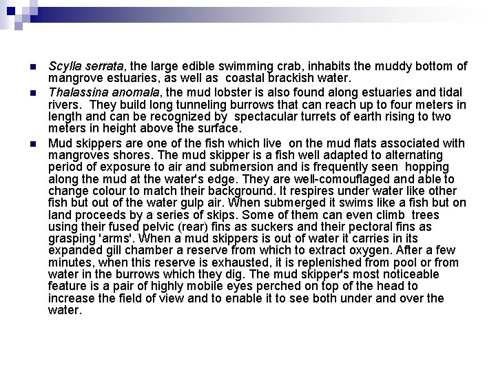 n n n Scylla serrata, the large edible swimming crab, inhabits the muddy bottom