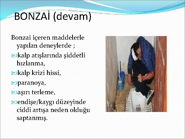 BONZAİ (devam) Bonzai içeren maddelerle yapılan deneylerde ; kalp atışlarında şiddetli hızlanma, kalp krizi