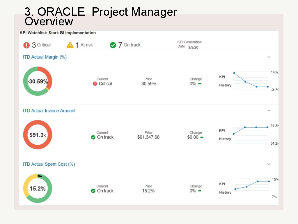 3. ORACLE Project Manager Overview 