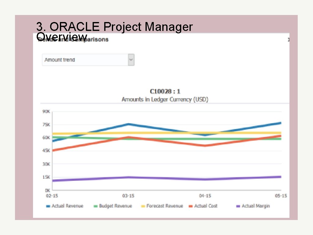 3. ORACLE Project Manager Overview 