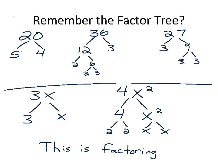 Remember the Factor Tree? 