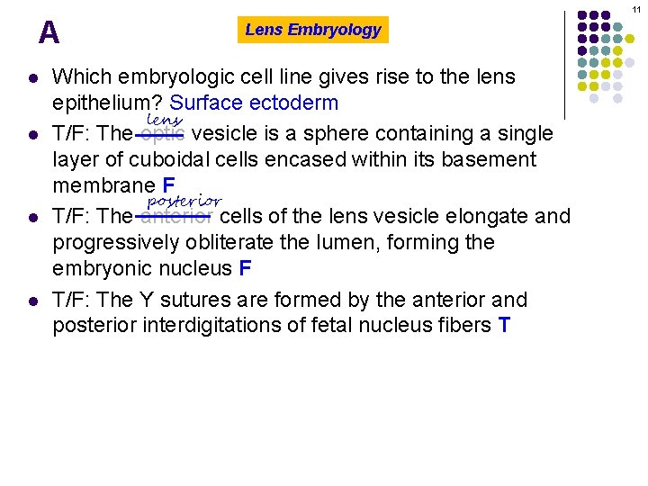 11 A l l Lens Embryology Which embryologic cell line gives rise to the