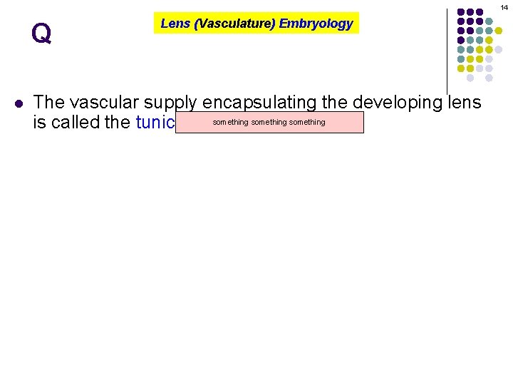 14 Q l Lens (Vasculature) Embryology The vascular supply encapsulating the developing lens something