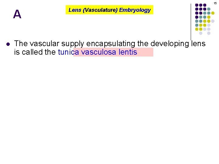 15 A l Lens (Vasculature) Embryology The vascular supply encapsulating the developing lens is