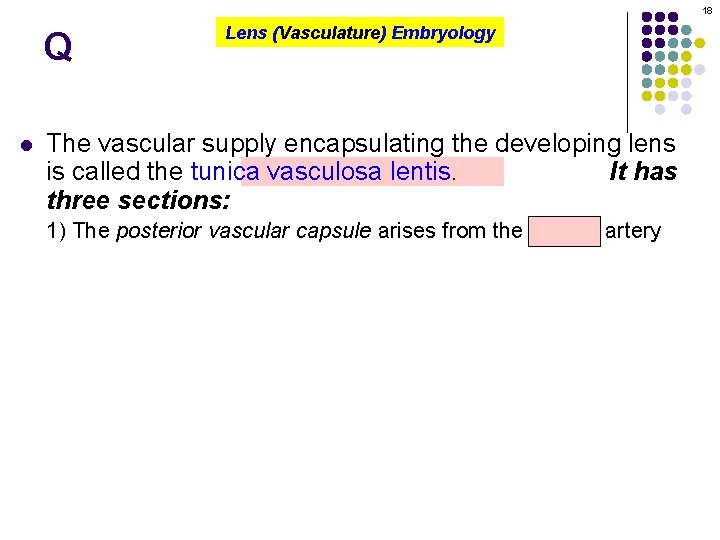 18 Q l Lens (Vasculature) Embryology The vascular supply encapsulating the developing lens is