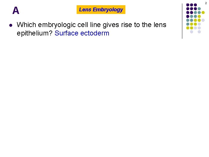 2 A l Lens Embryology Which embryologic cell line gives rise to the lens