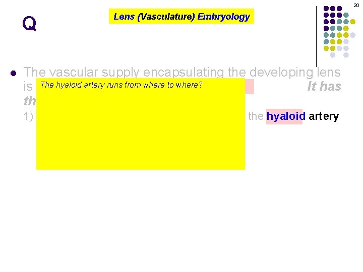 20 Q l Lens (Vasculature) Embryology The vascular supply encapsulating the developing lens The