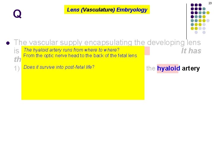 23 Q l Lens (Vasculature) Embryology The vascular supply encapsulating the developing lens The