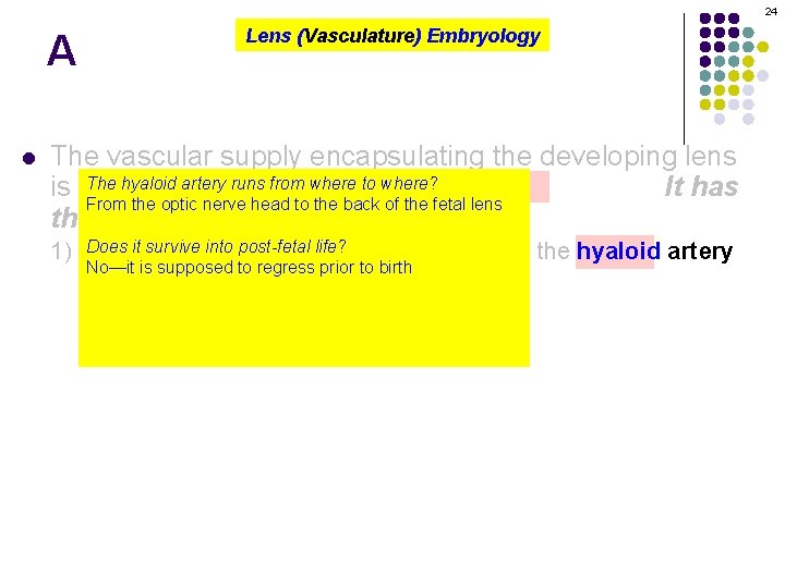 24 A l Lens (Vasculature) Embryology The vascular supply encapsulating the developing lens The