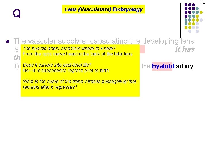 25 Q l Lens (Vasculature) Embryology The vascular supply encapsulating the developing lens The