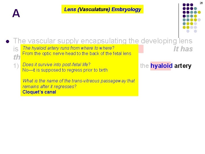 26 A l Lens (Vasculature) Embryology The vascular supply encapsulating the developing lens The