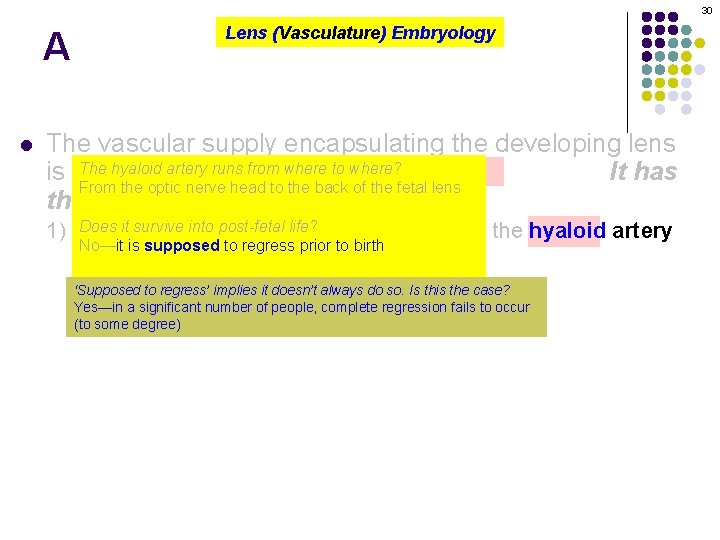 30 A l Lens (Vasculature) Embryology The vascular supply encapsulating the developing lens The