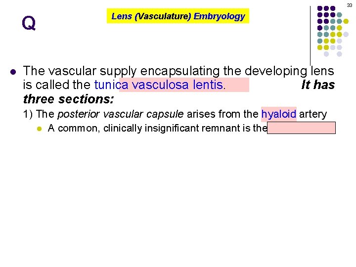 33 Q l Lens (Vasculature) Embryology The vascular supply encapsulating the developing lens is