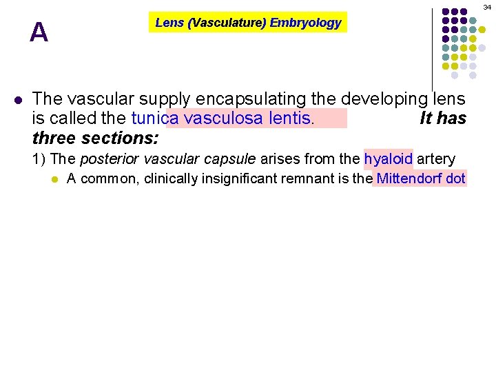 34 A l Lens (Vasculature) Embryology The vascular supply encapsulating the developing lens is