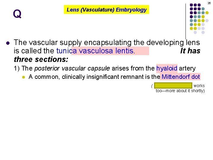 35 Q l Lens (Vasculature) Embryology The vascular supply encapsulating the developing lens is