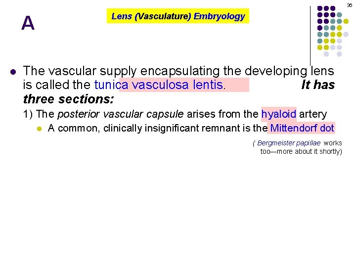 36 A l Lens (Vasculature) Embryology The vascular supply encapsulating the developing lens is