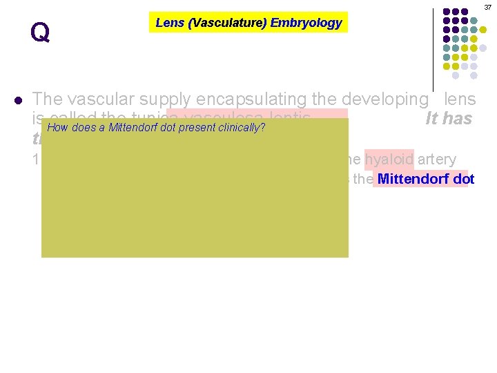 37 Q l Lens (Vasculature) Embryology The vascular supply encapsulating the developing lens is