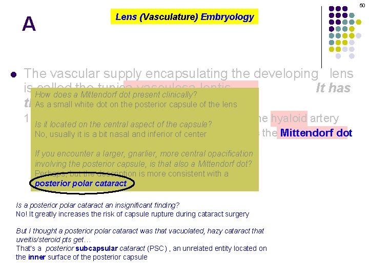50 A l Lens (Vasculature) Embryology The vascular supply encapsulating the developing lens is