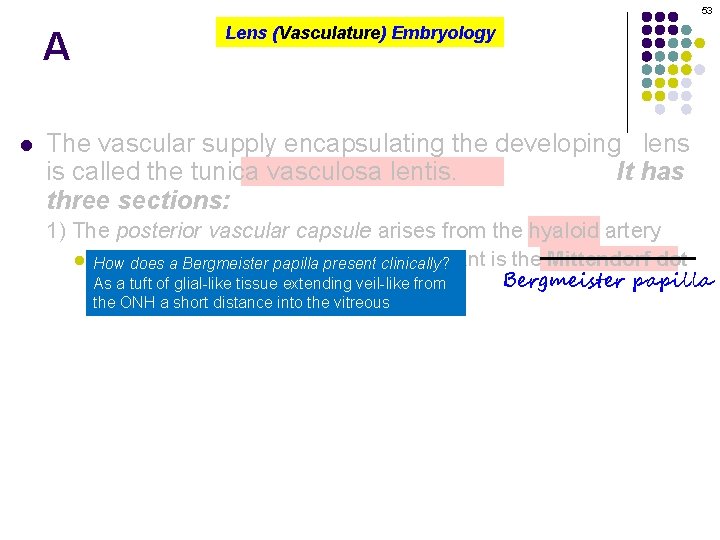 53 A l Lens (Vasculature) Embryology The vascular supply encapsulating the developing lens is