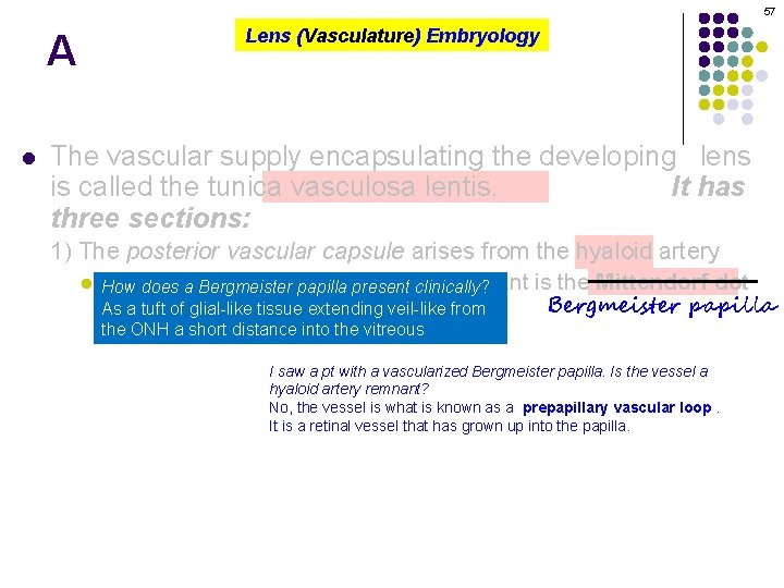 57 A l Lens (Vasculature) Embryology The vascular supply encapsulating the developing lens is