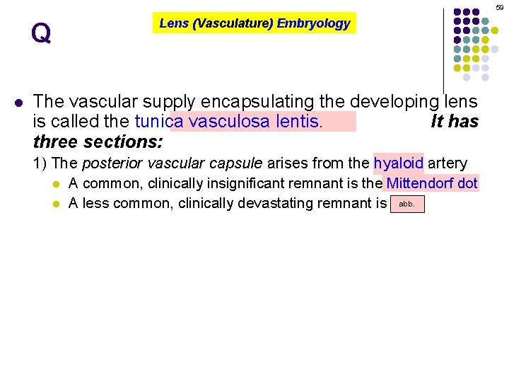 59 Q l Lens (Vasculature) Embryology The vascular supply encapsulating the developing lens is