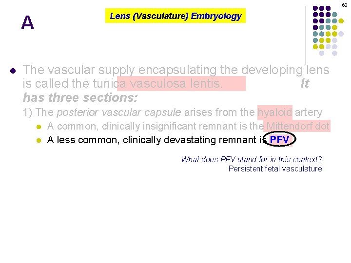 63 A l Lens (Vasculature) Embryology The vascular supply encapsulating the developing lens is