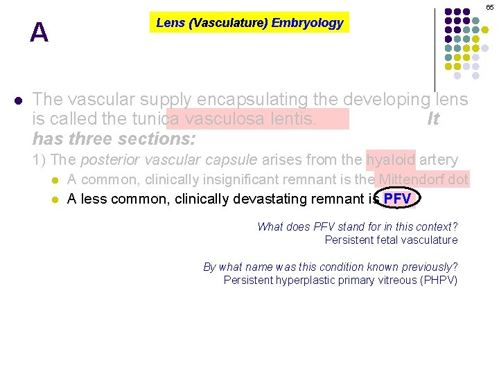 65 A l Lens (Vasculature) Embryology The vascular supply encapsulating the developing lens is