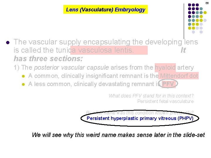 66 Lens (Vasculature) Embryology l The vascular supply encapsulating the developing lens is called