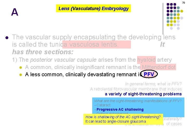 78 A l Lens (Vasculature) Embryology The vascular supply encapsulating the developing lens is