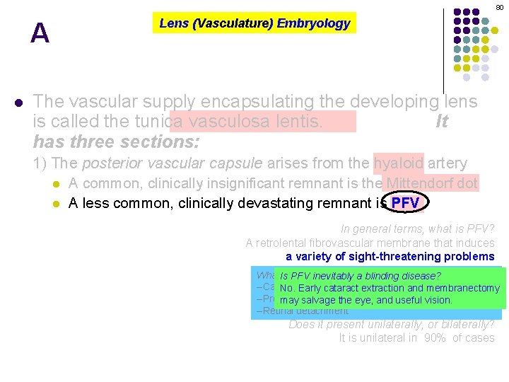 80 A l Lens (Vasculature) Embryology The vascular supply encapsulating the developing lens is